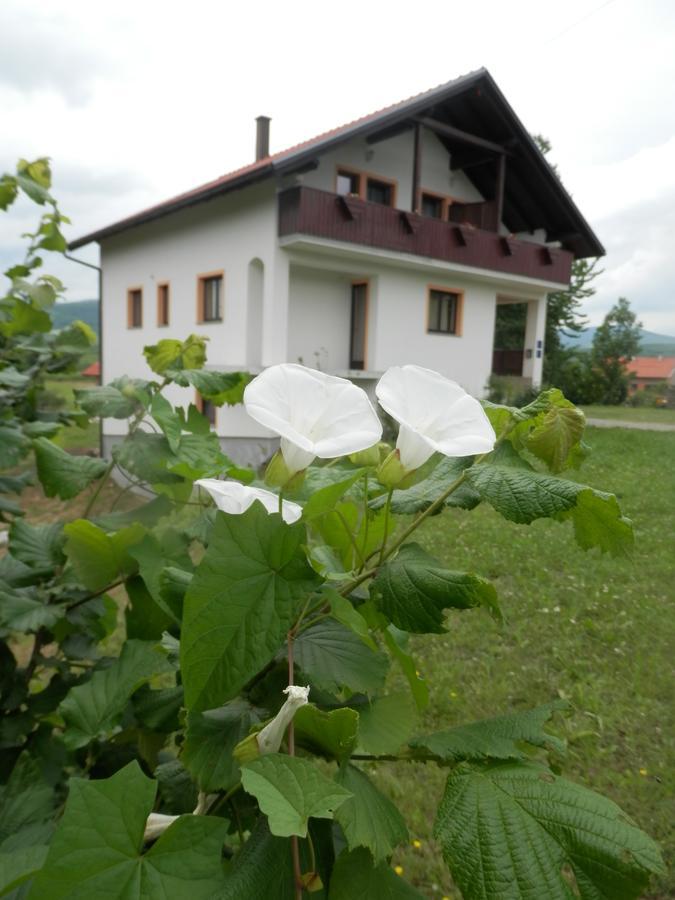 Guesthouse Matija Irinovac Exteriér fotografie