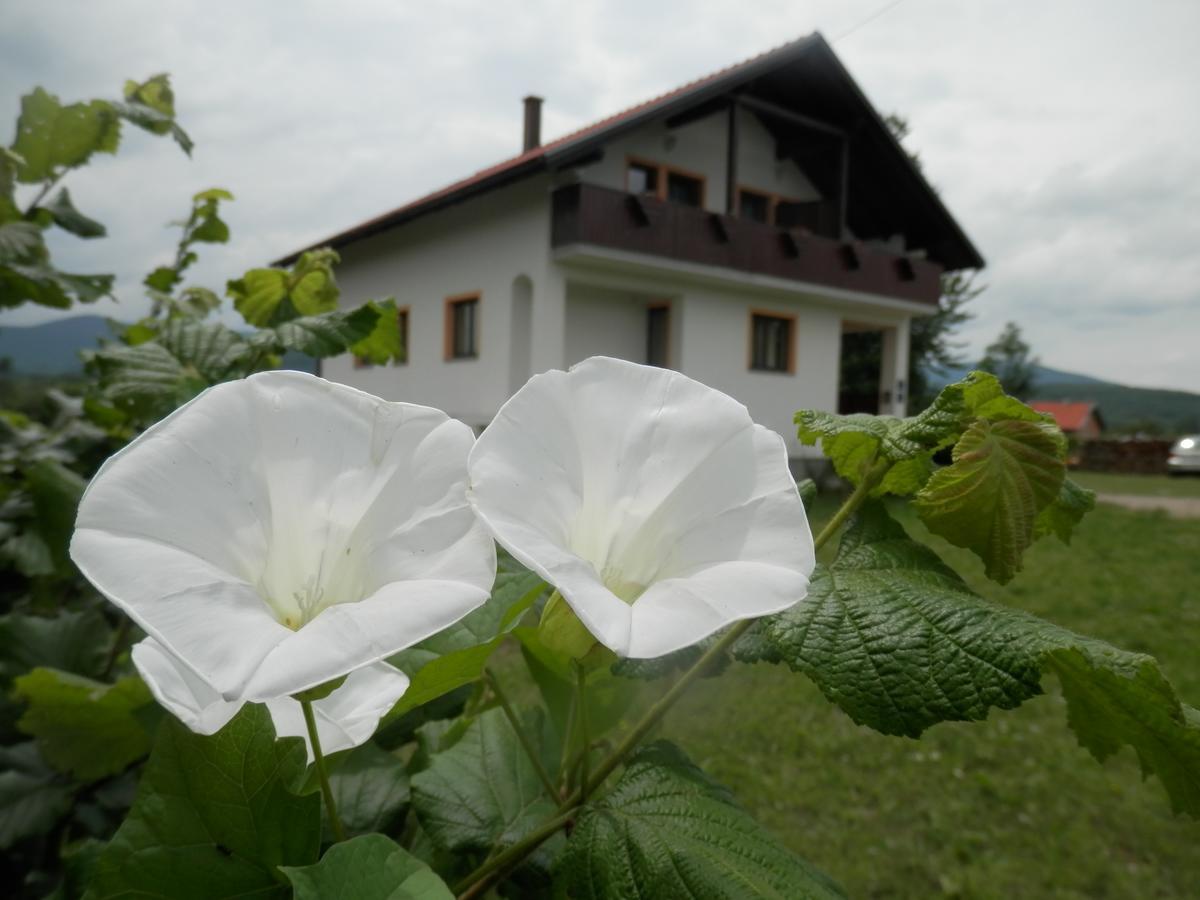 Guesthouse Matija Irinovac Exteriér fotografie